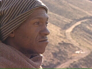 Lesotho - Survival