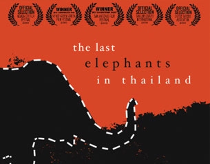 The Last Elephants in Thailand