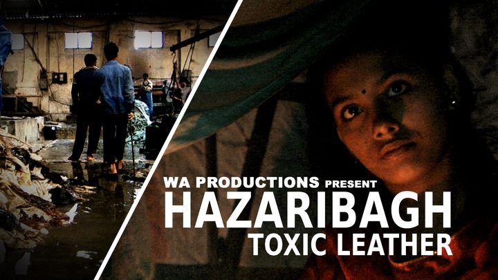 Hazaribagh: Toxic Leather - Journeyman Pictures