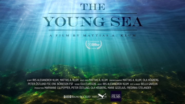 The Young Sea
