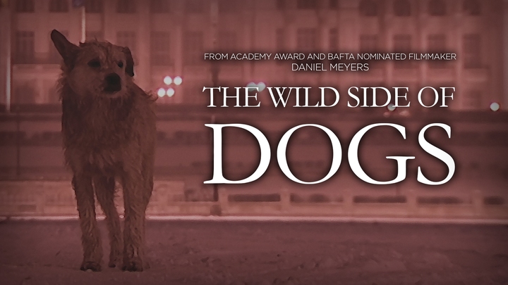 The Wild Side of Dogs