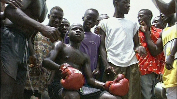 Boxing in the Blood