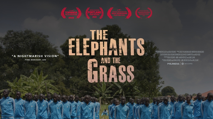 The Elephants and the Grass